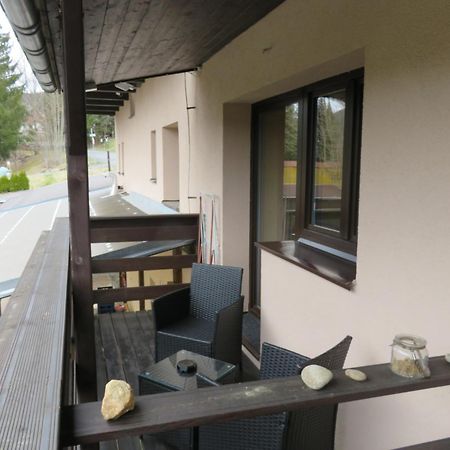 Pension Aura Spicak, Nektere Pokoje Se Saunou Железна-Руда Экстерьер фото